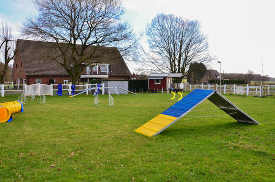 Unser Trainingsgelände mit Agility-Parcour